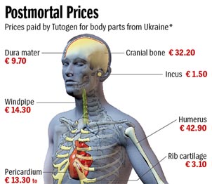 قیمتی که شرکت آلمانی Tutogen به اوکراین برای اجزای مختلف بدن می پردازد (Photo: Spiegel)